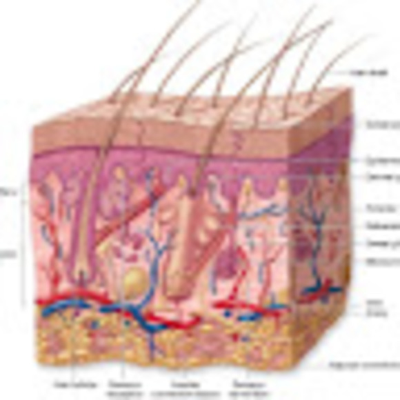 Meet your Posher, Dr. - Picture 1 of 1
